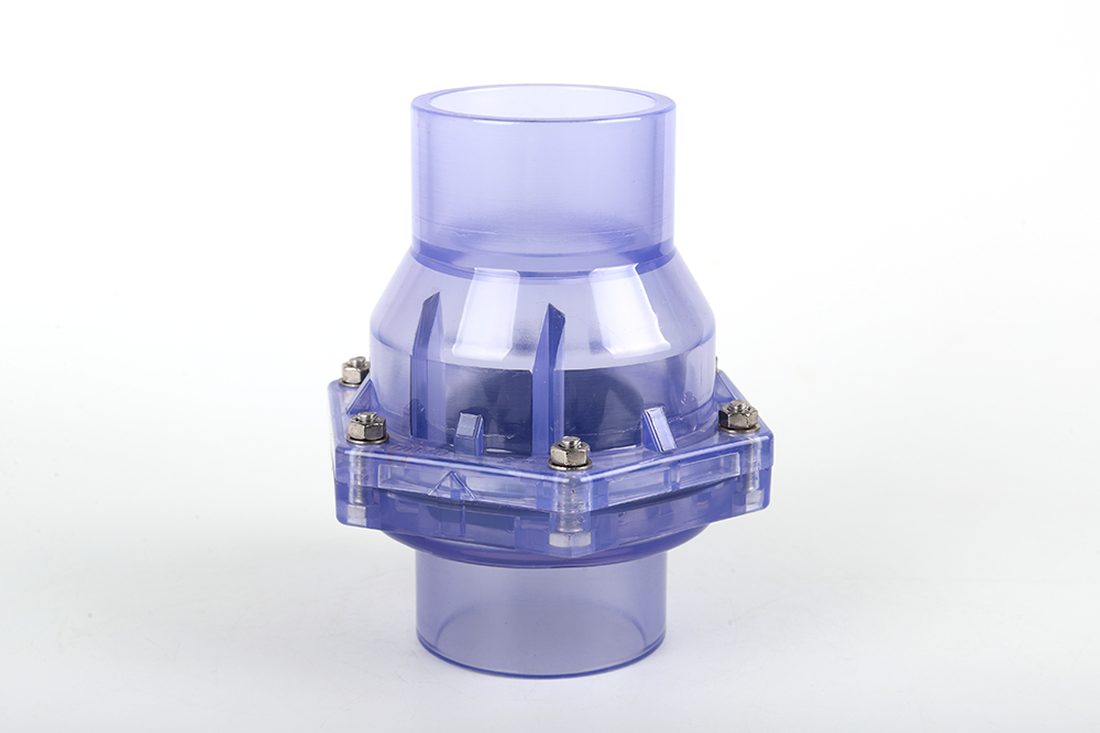 瑞溪镇透明翻板式止回阀